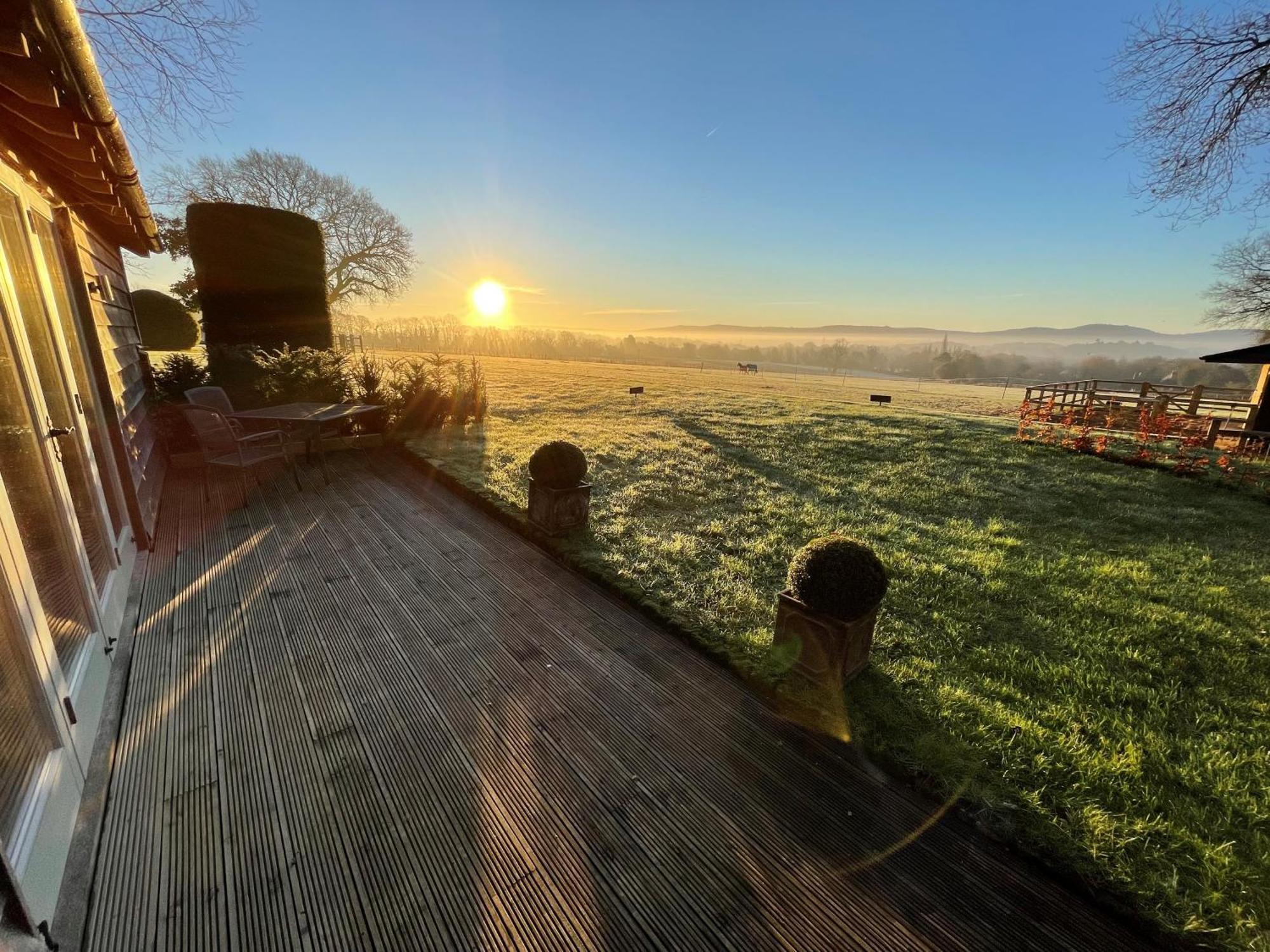 Stunning Cabin With Incredible Views Near Goodwood Rogate Extérieur photo