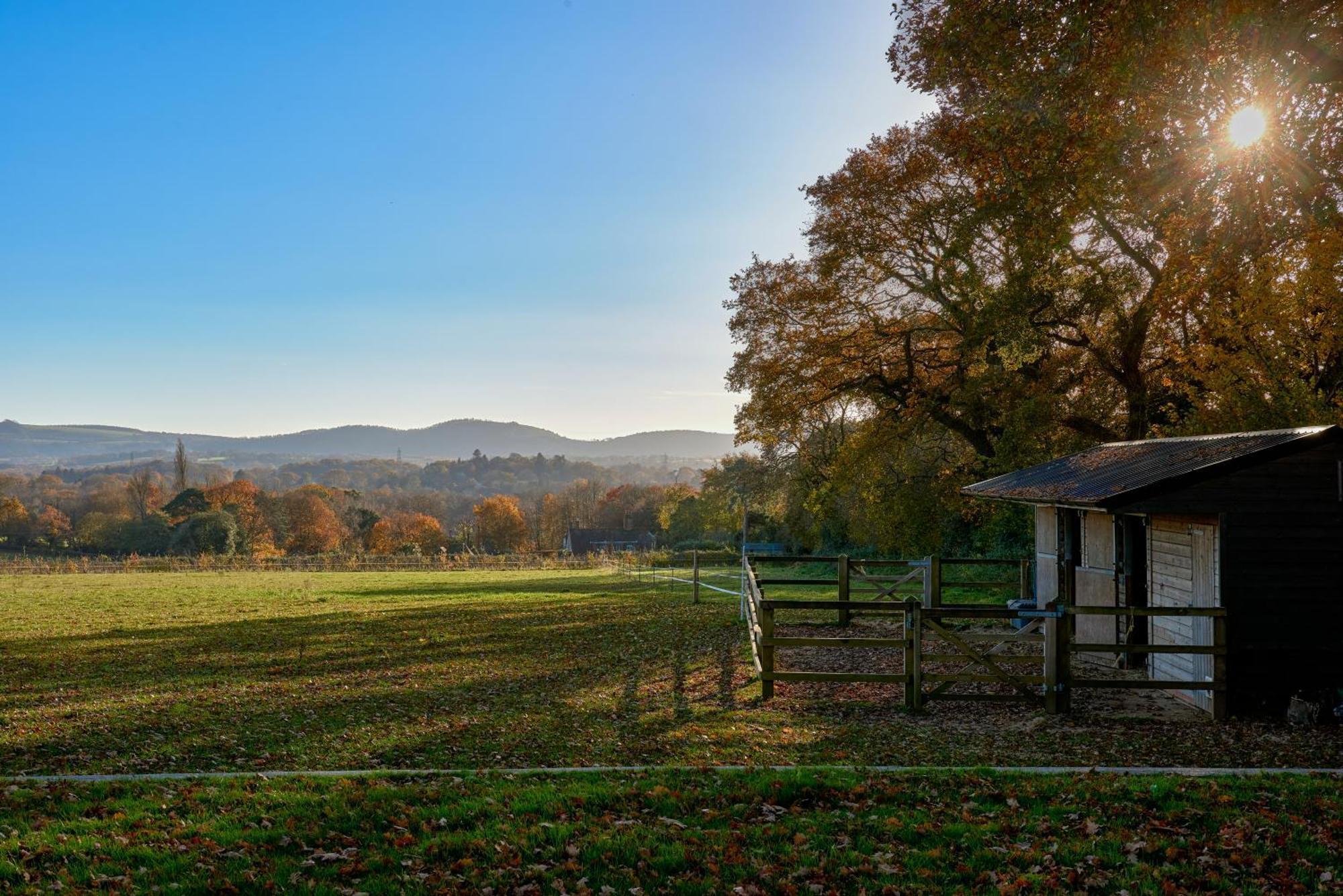Stunning Cabin With Incredible Views Near Goodwood Rogate Extérieur photo