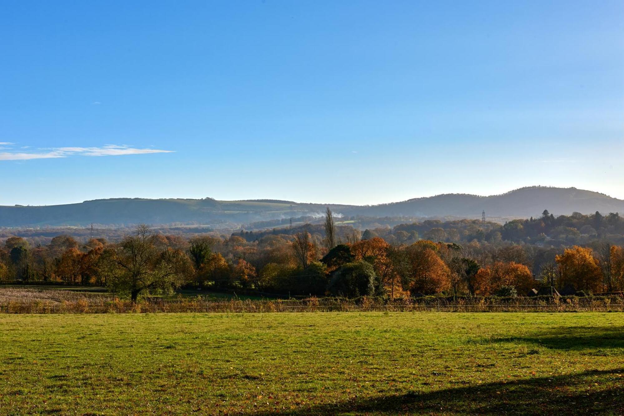 Stunning Cabin With Incredible Views Near Goodwood Rogate Extérieur photo