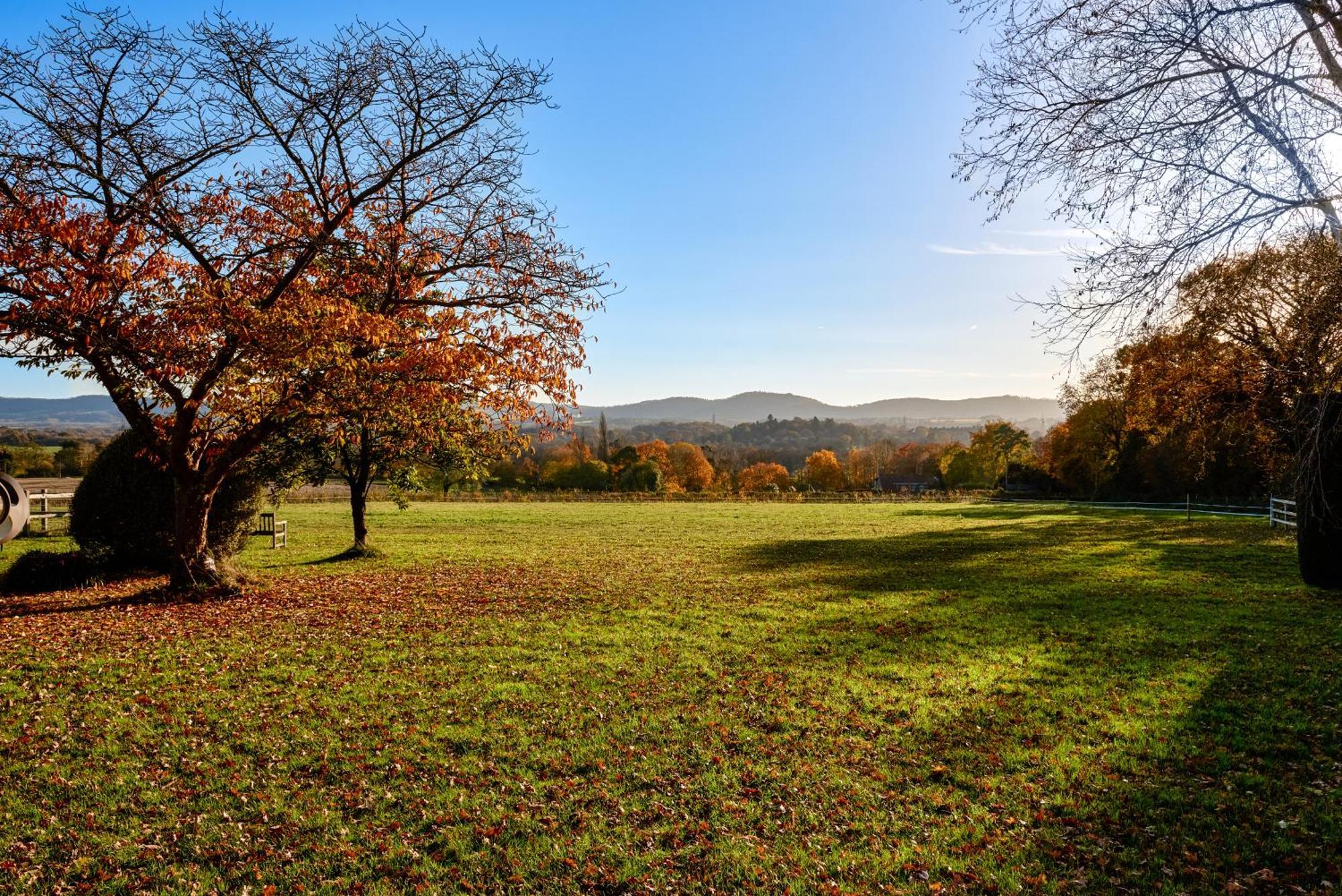 Stunning Cabin With Incredible Views Near Goodwood Rogate Extérieur photo