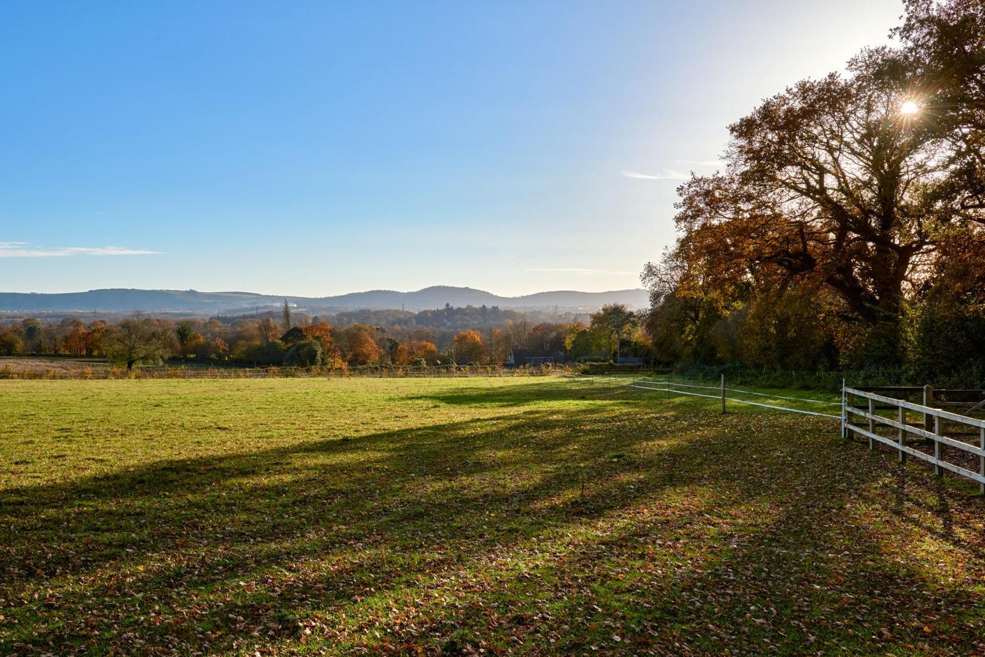 Stunning Cabin With Incredible Views Near Goodwood Rogate Extérieur photo
