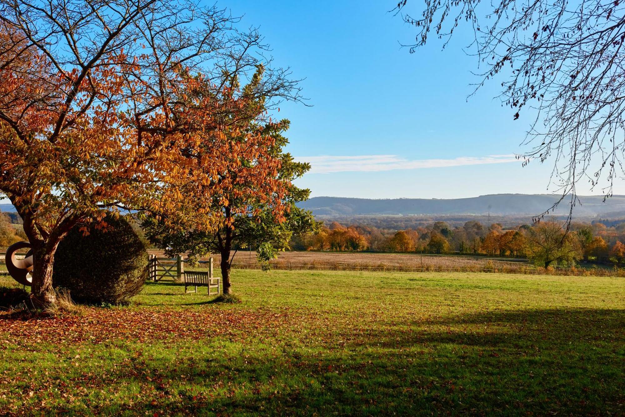 Stunning Cabin With Incredible Views Near Goodwood Rogate Extérieur photo