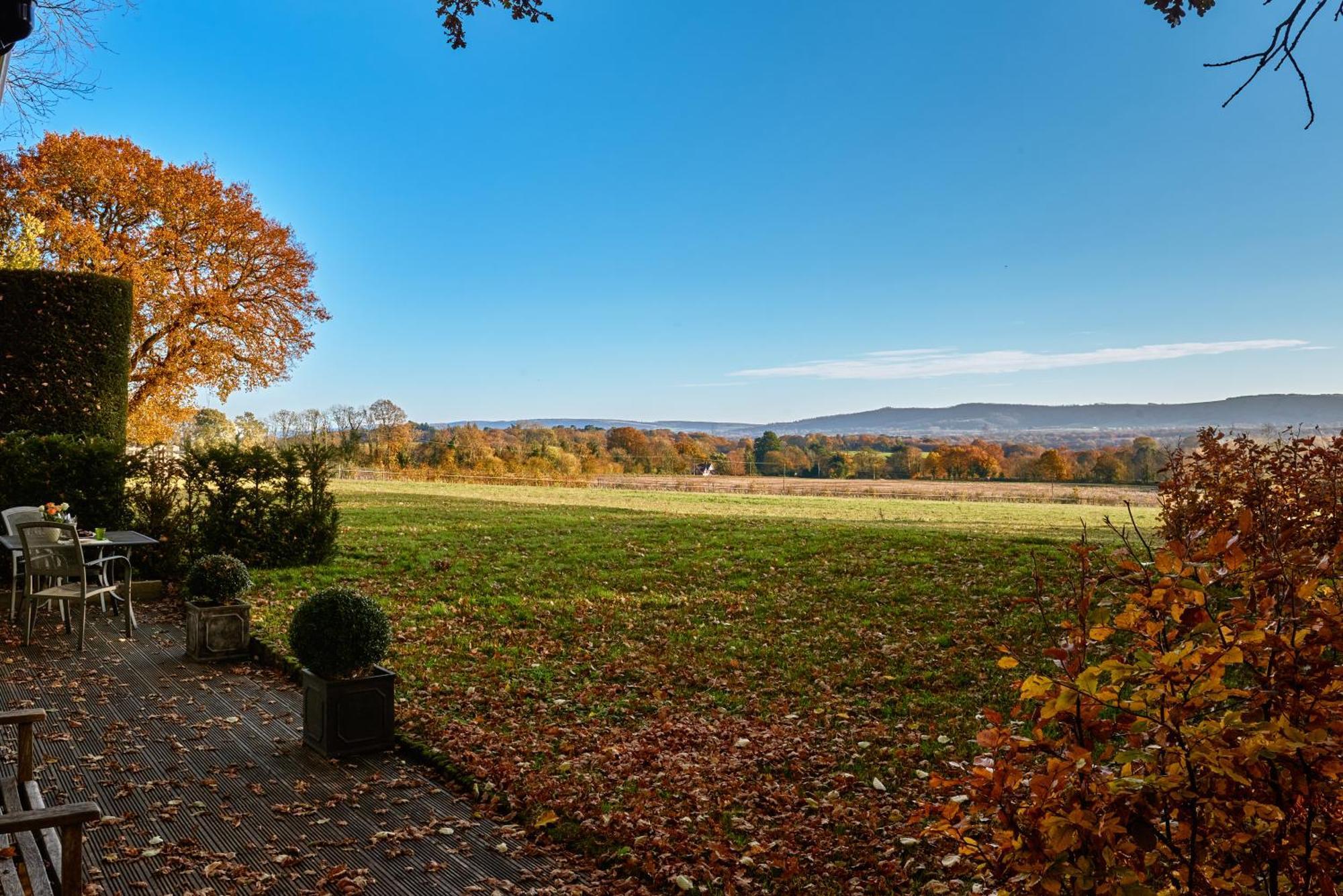 Stunning Cabin With Incredible Views Near Goodwood Rogate Extérieur photo