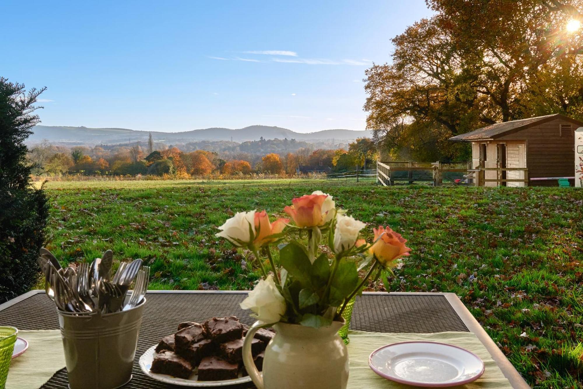 Stunning Cabin With Incredible Views Near Goodwood Rogate Extérieur photo